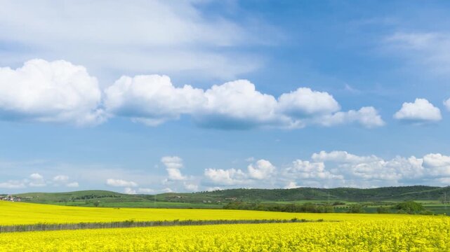 Fields with a plant in a valley against the background of the village and the sky in Bulgaria