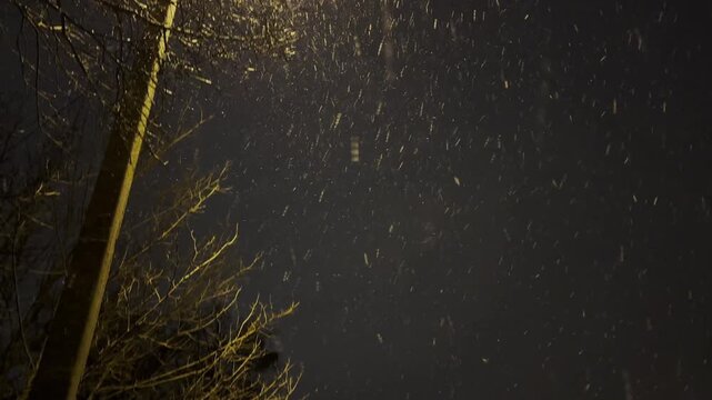 Snow falls softly through the night air illuminated by a street lamp. The glowing light reveals drifting flakes, creating a peaceful winter scene filled with quiet atmosphere and gentle motion