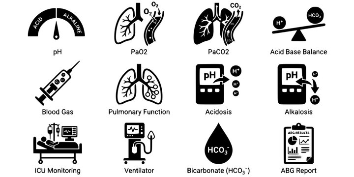 ABG Interpretation Flat Black White-pH PaO2 PaCO2 Acid Base Balance-Blood Gas Vector-ABG Icon Flat-ICU Pulmonary Design Set