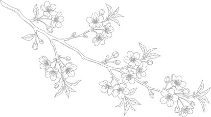 Fototapeta premium Cherry Blossom Branch Line Art Vector for Wedding Invitations, Botanical Illustrations & Minimalist Floral Greeting Card Designs (EPS)