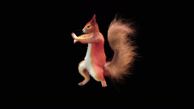 Realistic dancing squirrel performing rumba dance animation with alpha channel transparent background