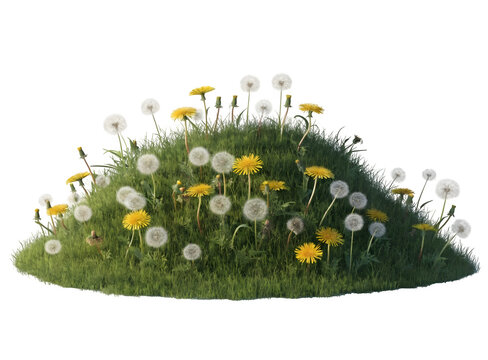 A lush green grassy hill with blooming dandelions and dandelion seeds isolated on transparent background