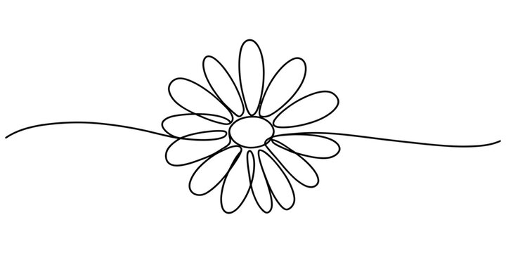 Continuous single line drawing of a simple daisy flower with a long stem for artistic minimalist design projects and creative floral graphic illustrations