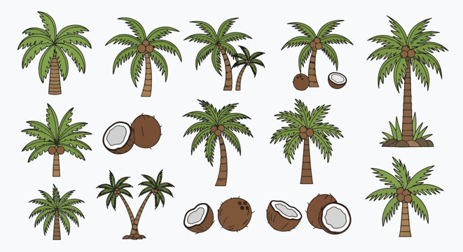 Colorful tropical palm leaves and pineapples on white background.