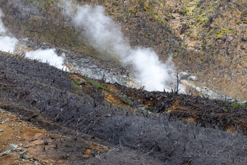 Naklejka premium dead trees and barren soil, with white clouds of steam rising from the smoking sulfur springs in Kanagawa