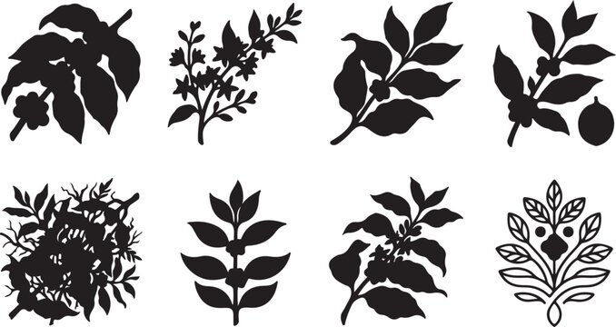 Set of black coffee plant silhouettes with leaves and coffee beans