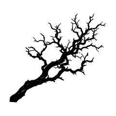 Fototapeta premium dead tree silhouette