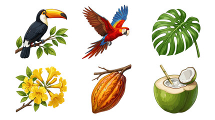Fototapeta premium Collection of tropical and exotic plants and animals including toucan macaw and coconut