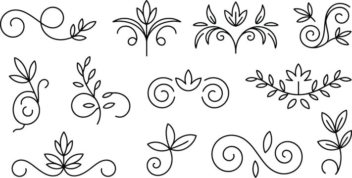 Elegant black line floral and leaf decorative patterns