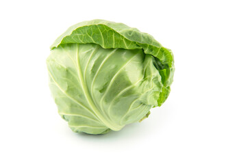 Fototapeta premium green cabbage isolated on white background