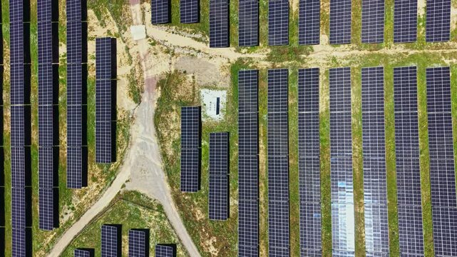 Many solar panels are laid out in rows on a renewable energy farm. The sun shines brightly above, and the land is green and open. This site is important for clean energy production.