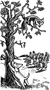 fox is cornered in tree by dog, but the pack and hunters go the other direction because they don't believe him