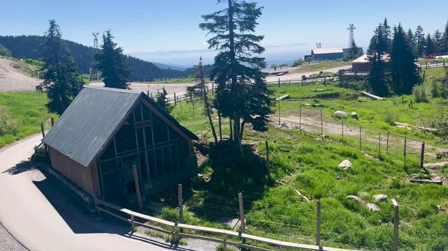A wooden A-frame den shelter stands inside the fenced bear habitat at the Grouse Mountain Refuge for Endangered Wildlife, alpine meadow and summit beyond