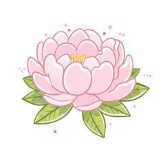 Fototapeta premium Delicate Pink Peony Flower with Green Leaves and Soft Dots