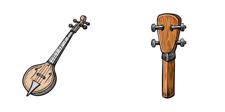 Traditional stringed musical instruments and a headstock illustration