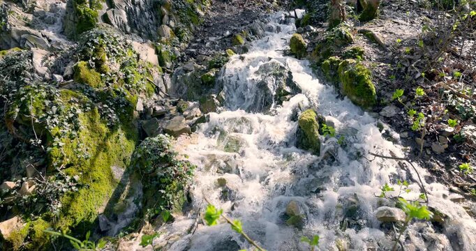Cascading refreshing waterfall in sunny forest