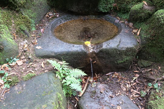Lindelbrunnen bei Mossautal