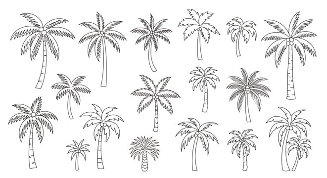 Vector illustration of delicate white daisy flowers on stems.