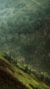 A hill rises with rocky cliffs on one side and green grass on the other. Trees grow in various spots. Bright light shines down from above, creating shadows on the ground.