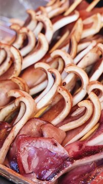 Ikayaki, Grilled roasted Squid with sauce - popular Japanese Street Food, variety of different traditional food snack selection in Tokyo, Japan, street market with local vendor stalls cooking