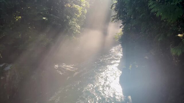Sunbeams break through mist and evergreens over a stream tumbling through a mossy coastal canyon in the rainforest of the North Shore mountains near Vancouver.
