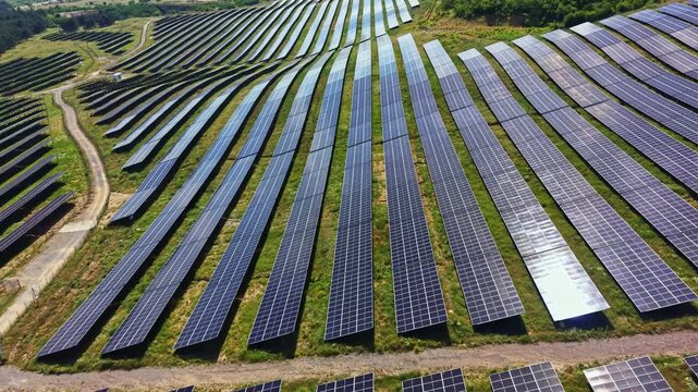 Rows of solar panels are set on land next to a road in a utility installation. The panels capture sunlight to generate clean energy.