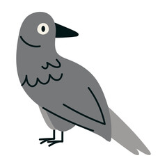 Fototapeta premium Crow standing in side view. Simple woodland or city bird vector illustration for wildlife, forest, camping and nature design