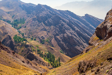 Fototapeta premium Mountain Landscape with Rock Formations and Tree Oasis in Alamut Valley, Iran
