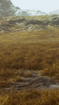 A vast grassland with golden grass covers the ground. Mountains rise in the background, partly hidden by light fog. The scene shows a quiet and natural landscape in a remote area.
