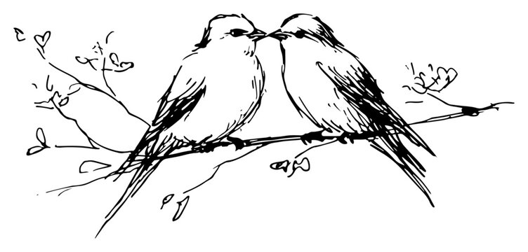 Two Birds Sitting on a Tree Branch Sketch, Hand Drawn Romantic Love Birds Illustration, Nature Wildlife Sketchy Vector Art
