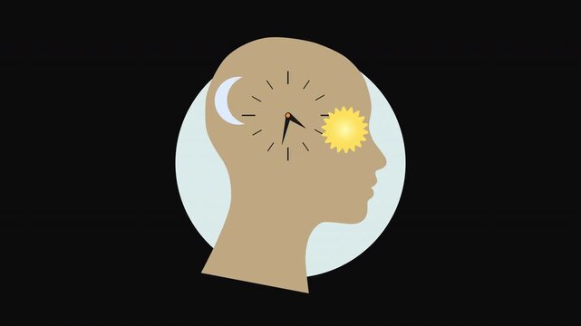 Human Biological Clock with Day and Night Cycle Flat Illustration