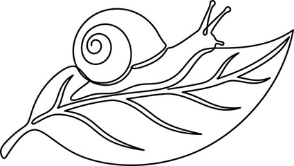 Continuous line art of a small snail crawling on a leaf. © Ternak