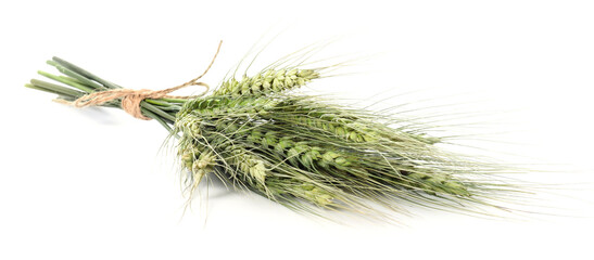 Fototapeta premium Bunch of green wheat spikes isolated on white