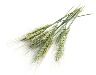 Fototapeta premium Bunch of green wheat spikes isolated on white
