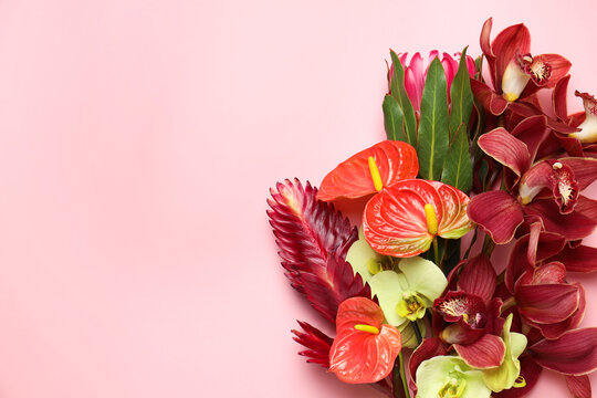 Bouquet of beautiful tropical flowers on pink background, top view. Space for text