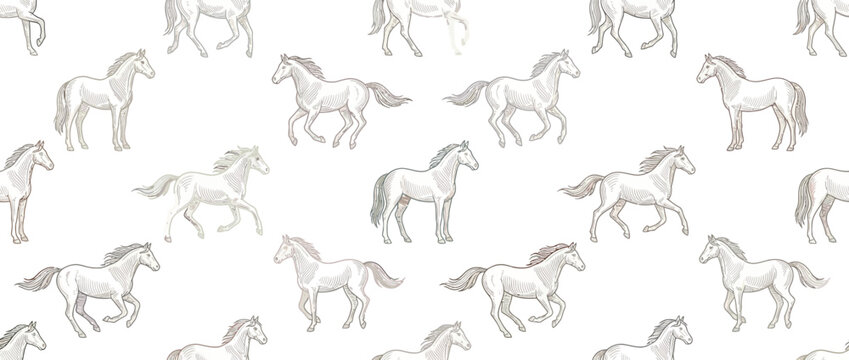 Seamless Pattern of Graceful White Horses in Motion on White Background