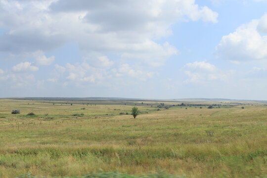 steppe on a sunny summer day