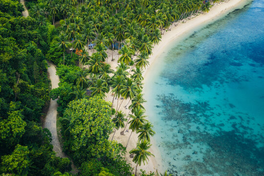 Aerial view of Port Barton beach with lush palm trees, white sand, and turquoise waters featuring coral reefs in San Vicente, Mimaropa, Philippines.