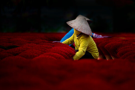Vietnamese village incense stick production by female workers among vibrant red sticks