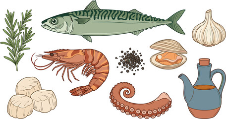 Fresh Seafood Cooking Ingredients Vector Illustration Set Featuring Mackerel Fish, Tiger Shrimp, Octopus Tentacle, Scallops, Opened Clam, Garlic Bulb, Rosemary, Peppercorns, and Ceramic Oil Jug © MstRakha