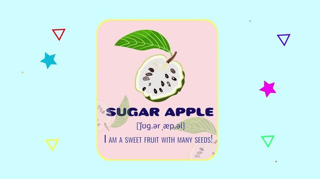 Sugar Apple Fruit Flashcard Animated Motion Graphic