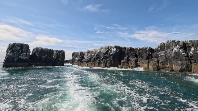 Motoring away from Staple Island beneath a sky alive with seabirds on a sunny Farne Islands wildlife tour. A perfect end to an unforgettable birdwatching adventure.