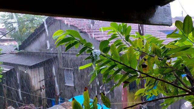 heavy rainfall on a roof of house in the dadar village in maharashtra in india.