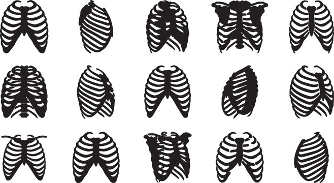 Set of human rib cage bone anatomy silhouettes in different orientations.