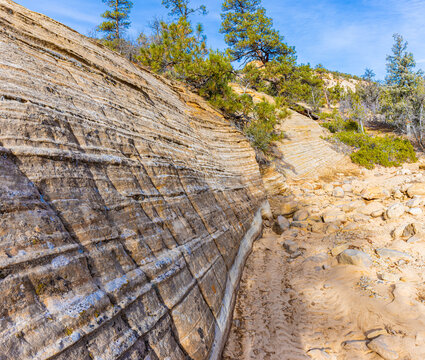 Sandstone Walla Along The Dry Wash of Jolley Gulch , East Rim Trail, Zion National Park, Utah, USA