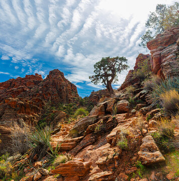 View of The Saddle From Below on The Padre Canyon Trail, Snow Canyon State Park, Utah, USA