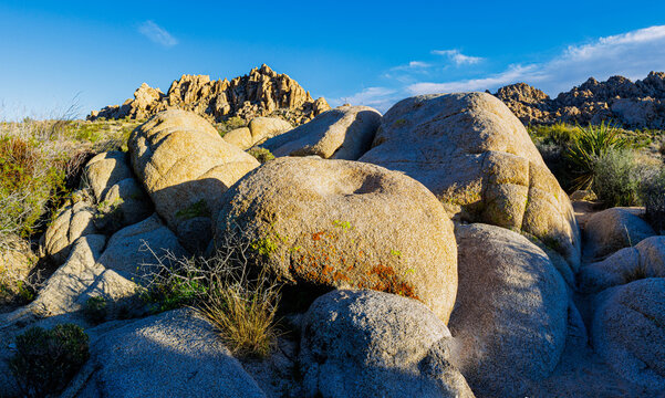 Boulders and Pinnacles of Monzogranite on The Indian Cove Nature Trail, Joshua tree National Park, California, USA