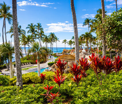 Tropical Plants and Swimming Pool at Resort Hotel, Waikoloa, Hawaii Island, Hawaii, USA