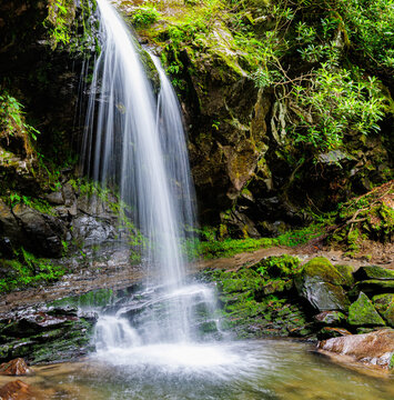 The Trillium Gap Trail Passes Behind Grotto Falls In The Roaring  Fork Nature Area, Great Smoky National Park, Tennessee, USA