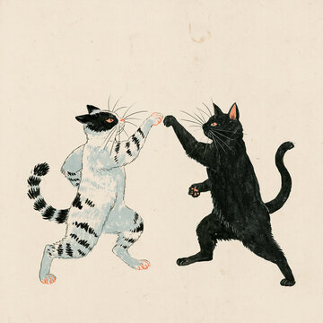 猫の喧嘩。キャッツファイト